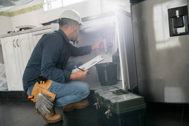 Best Sprinkler Systems  in South Alamo, TX