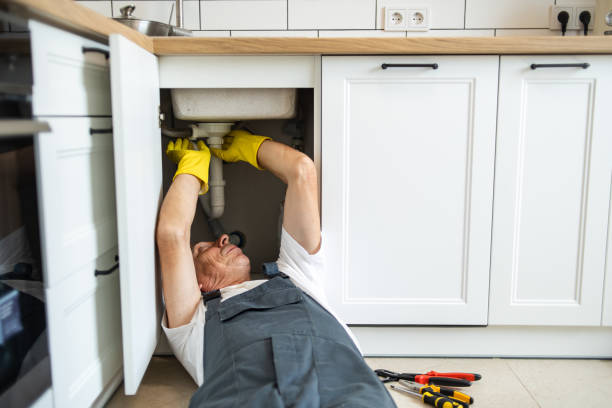 Best Drain Cleaning Services  in South Alamo, TX