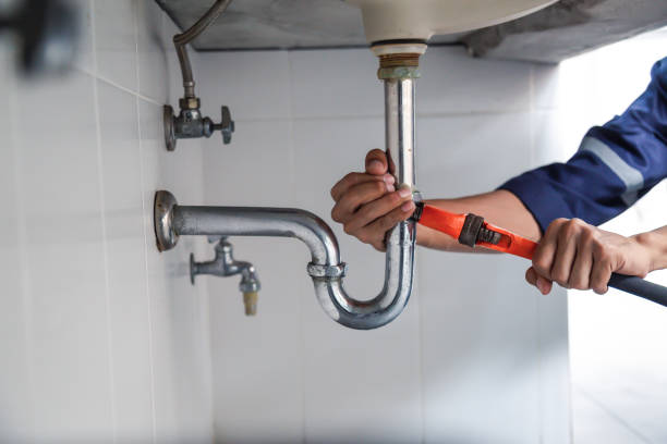 Best Local Plumber Services  in South Alamo, TX